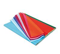 Spectra Scola Lot de 20 Feuilles de Papier créatif Coloris Assortis 50 x 76 cm