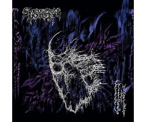 Spectral Voice - Eroded Corridors of..