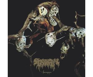 Spectral Voice - Sparagmos [Casete]