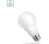 Spectrum LED Ampoule forme poire A60 9W = 70W E27 mat 980lm lumière du jour 6000K blanc froid