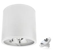 Spectrum Spot de plafond Wi-Fi LED AR111 blanc rond IP65 - avec douille GU10/AR111 - CCT (3000 K-6500 K) - Contrôlable par application