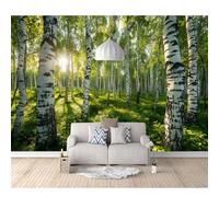 SPECUFX Mural Photo Self-adhesive Wallpaper Birch forest green sunny nature landscape 100x70cm 3D Wall Art Poster Picture Boy Girl Bedroom Gift Decoration Photos