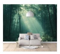 SPECUFX Tv Background Self-adhesive Wallpaper Sunshine in the forest 100x70cm Living Room Decoration 3D Mural Bedroom Wall Photo Art