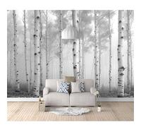 SPECUFX Wall Mural 3D Background Black and white forest birch 100x70cm Self-adhesive Wallpaper Art for Living Room Bedroom Tv Office Restaurant Motif Posters