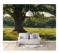 SPECUFX Wall Mural 3D Photo Self-adhesive Wallpaper Ancient tree forest natural landscape 100x70cm Background Art For Living Room Bedroom Tv Office Restaurant Posters