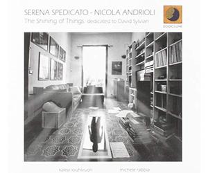 Spedicato Serena & Andrioli Nicola - The Shining of Things - Dedicated to David Sylvian