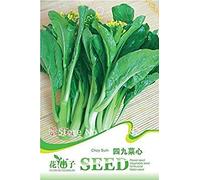 Spedizione gratuita 3 confezioni di semi di Choy Sum, 1 confezione da 200 semi di verdure Brassica C075