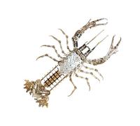 SpedUpX 3D Puzzle en Métal, Pince à Bec Effilé, Maquettes Métalliques 3D à Construire Soi-même, Jouet de Construction pour Adultes, Idéal pour Les Cadeaux Et Les Décorations (830+pcs)