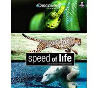 Speed of Life – Discovery – Blu-ray – 2 disques