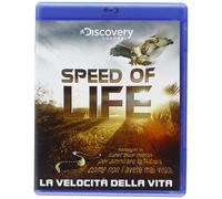 Speed Of Life La Velocita Della Vita