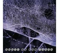 Speed of The Stars