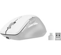 Speedlink Libera Silent Mouse - Souris sans Fil, clic Silencieux, molette de défilement au Pouce, 1 Profil Bluetooth, 1x USB-A & 1x USB-C Profil 2,4 GHz, Batterie Rechargeable, 3200 DPI, Blanc