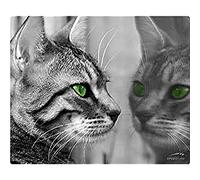 Speedlink Silk Tapis de Souris Chat (Surface Souple, Minimise les Frottements, dessous Caoutchouté, Différents dessins)