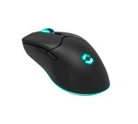 SPEEDLINK SL-680102-BK Souris Gaming USB Type-A 4800 DPI, 5 Boutons Programmables, Scroll Balle, Accélération 10G, Taux d'interrogation 1000Hz, Noir