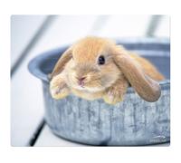 Speedlink Tapis De Souris Silk Motif Bébé Lapin Plat 1,5Mm Pad
