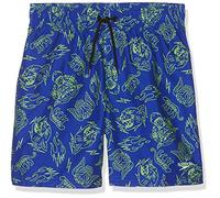 Speedo Peaceexpolsion Short de Bain pour garçon XL Peaceexplosion Chro B/Brig Zes