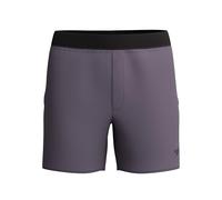 Speedo The Lookout Volley 16" Solid Short de Bain pour Homme, Vintage Fog, XL