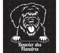 speedwerk-motorwear Bouvier des Flandres Version 1 - Autocollant de Chien, Autocollant de Voiture, Races de Chiens, bâtard, mélange, Animaux, Animal de Compagnie (ÉGALEMENT Possible avec SOUHAITÉ)