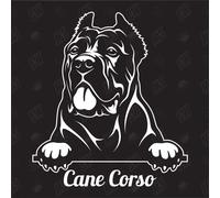 speedwerk-motorwear Cane Corso Version 2 - Autocollant de Chien, Autocollant de Voiture, Races de Chiens, bâtard, mélange, Animaux, Animal de Compagnie (ÉGALEMENT Possible avec SOUHAITÉ)