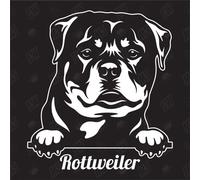 speedwerk-motorwear Rottweiler Version 4 - Autocollant de Chien, Autocollant de Voiture, Races de Chiens, bâtard, mélange, Animaux, Animal de Compagnie (ÉGALEMENT Possible avec SOUHAITÉ)