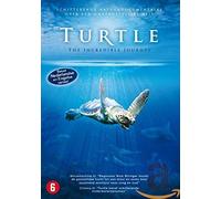 Turtle: The Incredible Journey – Documentaire – Splendid Film
