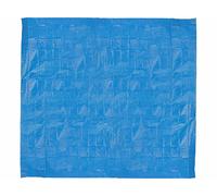 Speeron Tapis de sol pour piscine gonflable - 490 x 490 cm