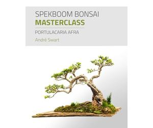 Spekboom Bonsai Masterclass: Portulacaria Afra