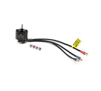 Spektrum- Moteurs, SPMXAM1700, Multicolore