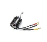 Spektrum SPMXAM1000 Moteurs Multicolore