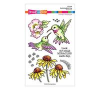 Spellbinders Jour du colibri