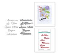 Spellbinders Matrices de découpe gravées French Everyday Sentiments de la collection International Sentiments