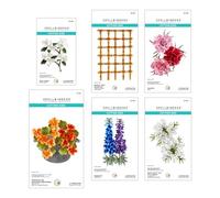 Spellbinders Matrices gravées, métal, une