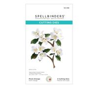 Spellbinders Matrices gravées, métal, une