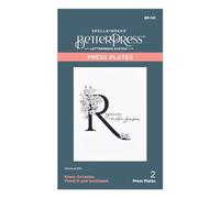 Spellbinders Toutes Les Occasions Floral R et Sentiment Plaque de Presse, métal, Un