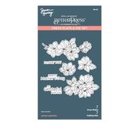 Spellbinders Press Plate & Die By Simon Hurley-Spring Magnolias, Spring Sampler