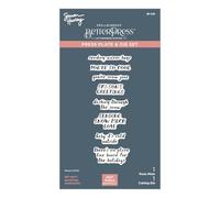 Spellbinders ski-Son's Greetings sentiments BetterPress & Dies, Métal