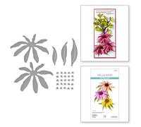 Spellbinders Susan Tierney-Cockburn Matrice de découpe Motif échinacée (échinacée)
