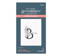 Spellbinders Toutes Les Occasions Floral B et Sentiment Plaque de Presse, métal