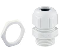 Spelsberg 22941601 Presse-étoupe résistant aux chocs, avec décharge de traction, avec écrou de bloquage M16 plastique gris clair