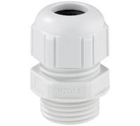 Spelsberg 24745001 Presse-étoupe résistant aux chocs, avec décharge de traction M50 plastique gris clair 1 pc(s)