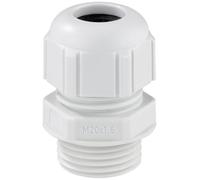 Spelsberg 24842001 Presse-étoupe résistant aux chocs, avec décharge de traction M20 plastique gris clair 1 pc(s)