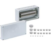 Spelsberg AKi-R 4/34-SL Boîtier pour bloc de jonction 150 x 300 x 132 plastique gris 1 pc(s)