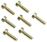 Spelsberg SC 56 Set de vis acier 1 pc(s)