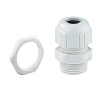 Spelsberg Spelsberg Presse-étoupe KVR M25-MGM gris IP68/IP69 Polyamide Quantité:1