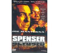 Spenser Private Investigation