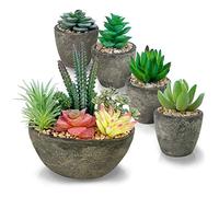 SPEPLA Lot de 5 Plantes succulentes artificielles réalistes avec Pots en Ciment pour la décoration de la Maison et du Bureau.