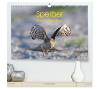 Sperber - Kleiner Vogel Greif (hochwertiger Premium Wandkalender 2026 DIN A2 quer), Kunstdruck in Hochglanz: Eindrücke aus dem Leben eines Sperberpaares
