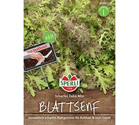 Sperli 83050 Mélange de feuilles de moutarde pointue (bande de semence), mélange aromatique de feuilles de moutarde rouge et vert clair
