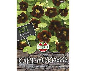 Sperli 85602 Capucine Black Velvet (graines de capucine)