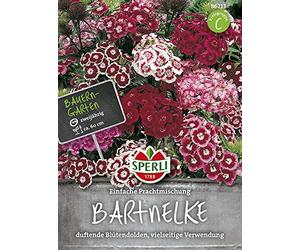 Sperli 86213 Mélange de clou de girofle (graines de clou de girofle)